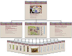 Artist's Special Web Site Layout