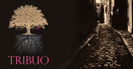Tribuo